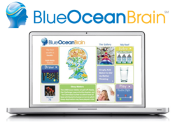 www.BlueOceanBrain.com